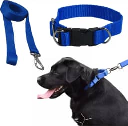 Coleira Com Guia Para Cachorro Pet Grande/médio Resistente (Azul)