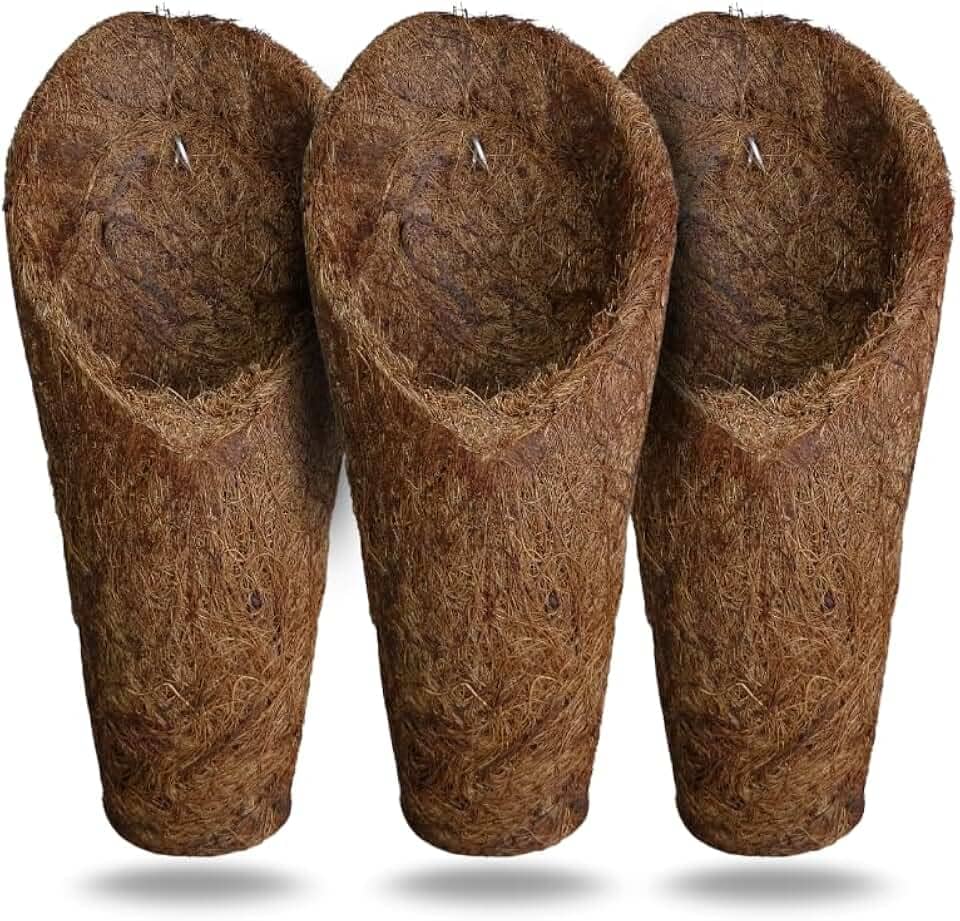 Kit 3 vaso para Orquídeas em Fibra de Coco modelo Concha, tamanho "M", Resistente à Água, Leve e Durável, para Jardinagem e Decoração