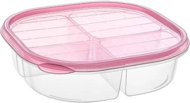 Marmita Com Divisórias – Vasilha para Alimentos - Pote Organizador, Multiuso, Tampa Vedada, Ideal para Lanche ou Marmita - 4 Divisórias