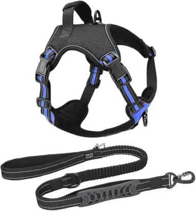 Coleira Peitoral Antipuxão Cachorro Power MADOG + Guia Elástica com Cinto de Segurança (Azul, XG)