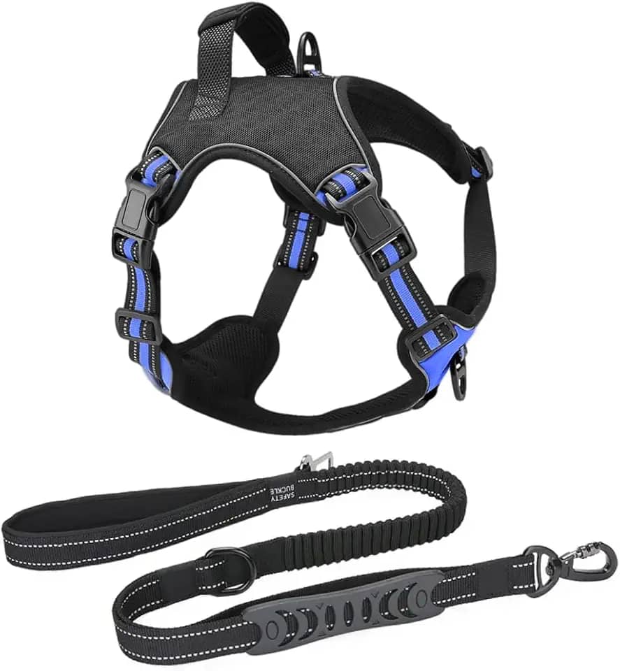 Coleira Peitoral Antipuxão Cachorro Power MADOG + Guia Elástica com Cinto de Segurança (Azul, XG)