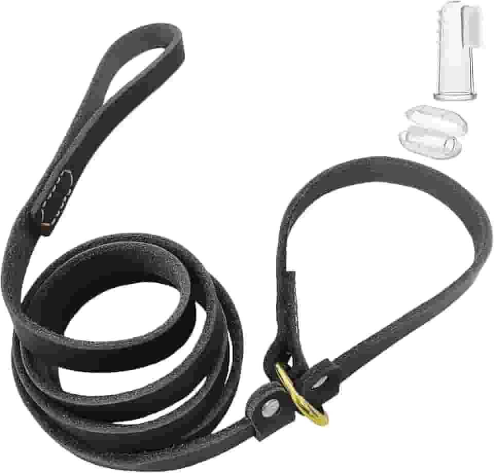 LWBMG Coleira de couro para cães de 1,7 m, guia deslizante de couro verdadeiro, coleira macia ajustável para cães de pequeno a grande porte - preta