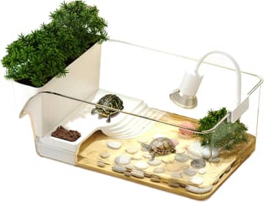 Aquário Para Tartarugas, Caixa de Repouso Para Répteis, Habitat Decorativo Para Banho de Sol Educadores Da E Preparação Para Adoção De Cágados Ou Tartarugas