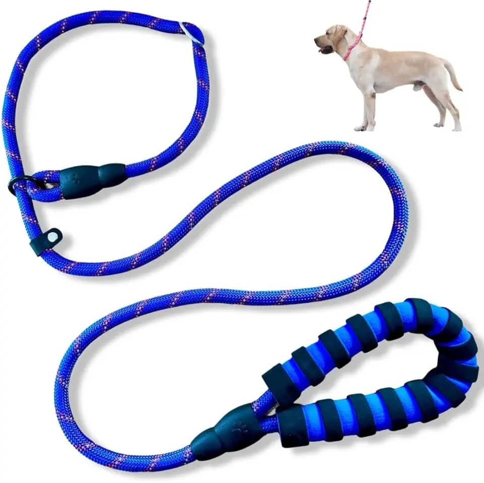 Enforcador Corda Guia Unificada Cão Adestramento Pitbull com Trava (Azul-escuro)