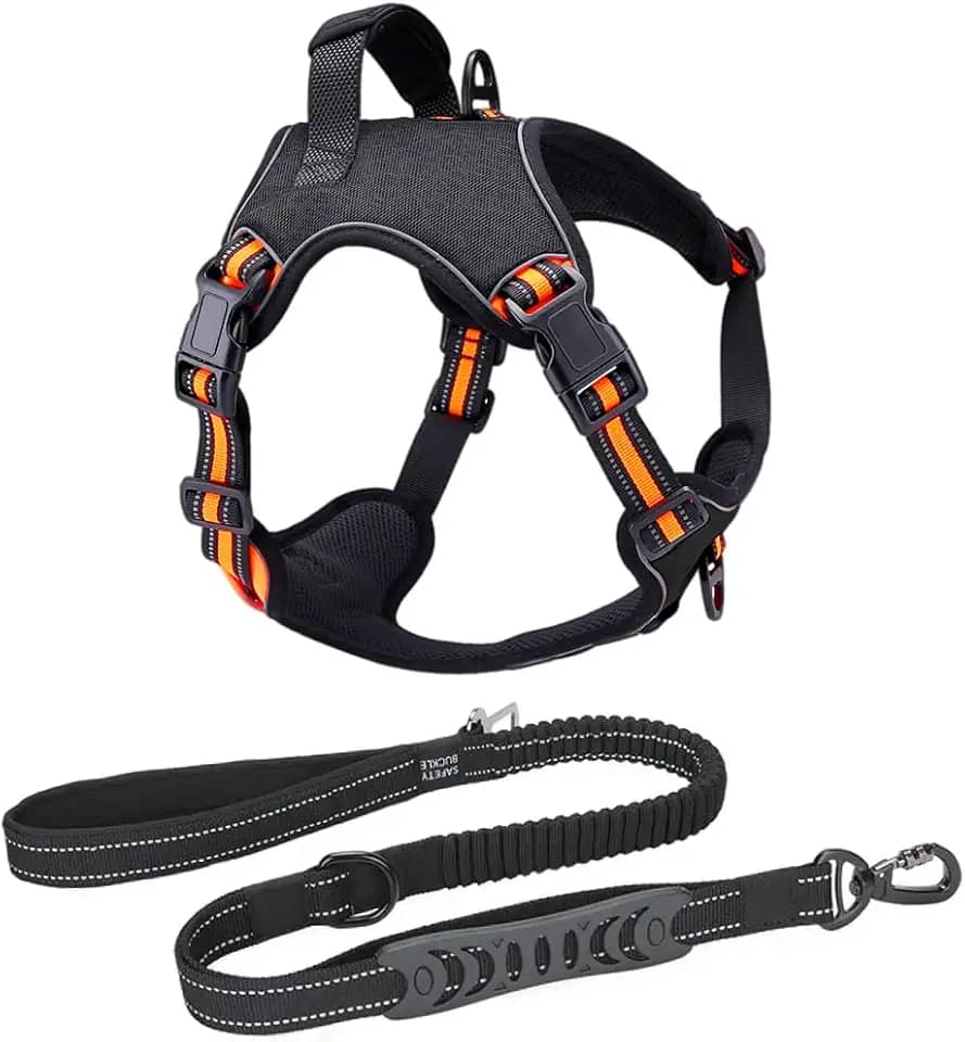 Coleira Peitoral Antipuxão Cachorro Power MADOG + Guia Elástica com Cinto de Segurança (Laranja, G)