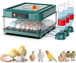 Incubadora de Ovos Automática para 48 Ovos, Controle de Temperatura e Viragem Automática, com Vela de Ovo Integrada, Ideal para Galinhas, Patos, Codornas e Aves (verde, 220V)