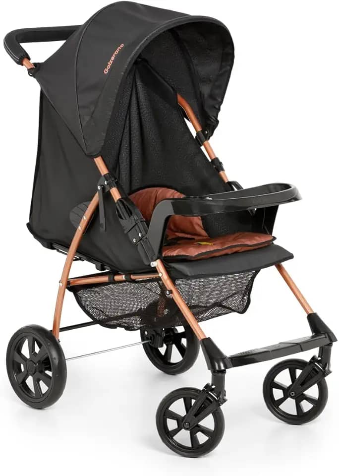 Carrinho de Bebê Galzerano Romano 1035 de 0 Meses até 15Kg Terracota