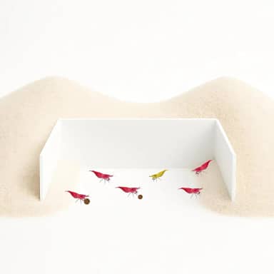 CTWPets Barreira de alimentação de aquário - Parede de retenção de substrato para camarão, caracol e pleco | Enseada inferior nua para facilitar a alimentação e limpeza (branca)