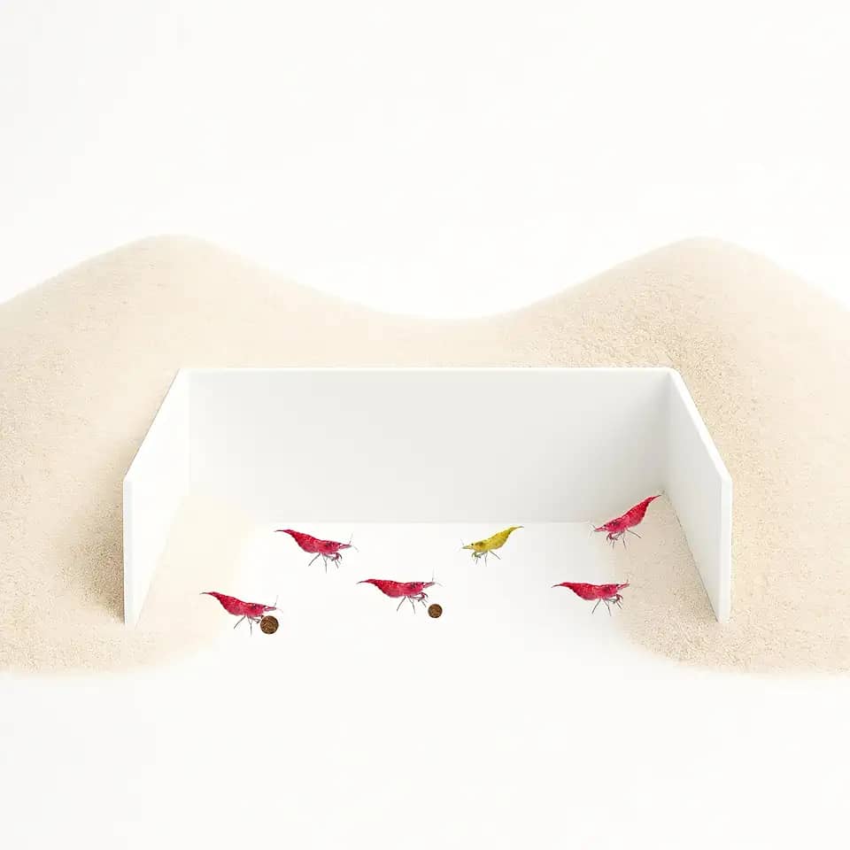 CTWPets Barreira de alimentação de aquário - Parede de retenção de substrato para camarão, caracol e pleco | Enseada inferior nua para facilitar a alimentação e limpeza (branca)