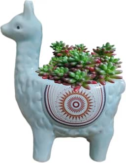 Vaso de suculentas de cerâmica em forma de lhama com orifícios de drenagem, vaso de animais pintado à mão para cactos e suculentas internos, decoração de casa exclusiva e presente (azul)