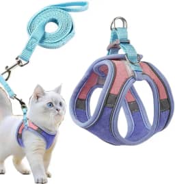 Coleira Peitoral Com Guia para Gatos Cães Cachorros Pet Colete refletivo Respirável Regulável Confortável (Azul)