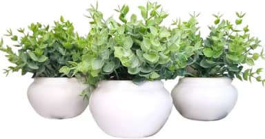 Vasinho de cerâmica com folhagem de eucalipto artificial