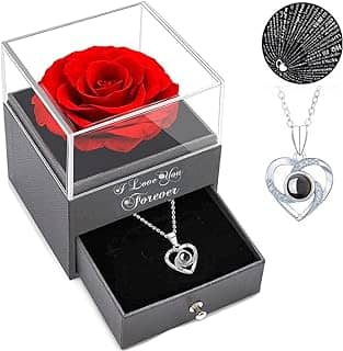 Presentes para mulheres meias de Natal – Colar rosa vermelha com I Love You, presentes de rosas eternas para mulheres, mãe, esposa e namorada no Dia dos Namorados, Dia das Mães, Natal, aniversário,