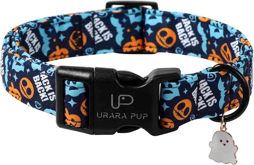 UP URARA PUP Coleira para cães de Halloween – Coleiras para cães fantasma e abóbora 'Jack is Back', coleira assustadora azul escuro, coleiras ajustáveis com estampa de abóbora e esqueleto para cães de