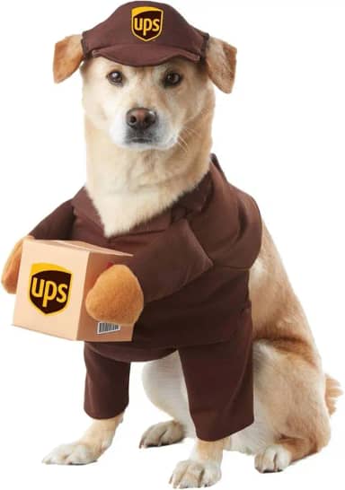 CALIFORNIA COSTUME COLLECTIONS Fantasia De Cachorro Brown_Ups Pal Grande