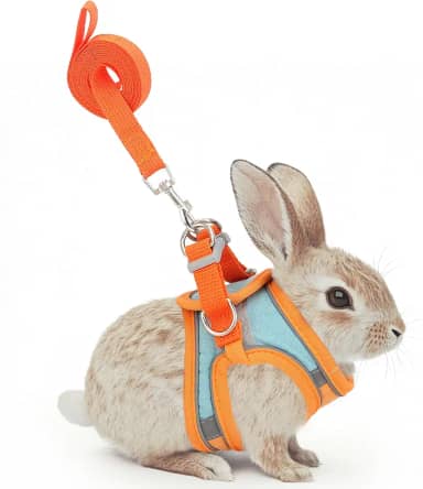 Filhome Conjunto de arnês e coleira de coelho ajustável, fivela dupla com tiras refletivas, colete respirável para gatinho, furão, porco, filhote, animais pequenos, acessórios de caminhada