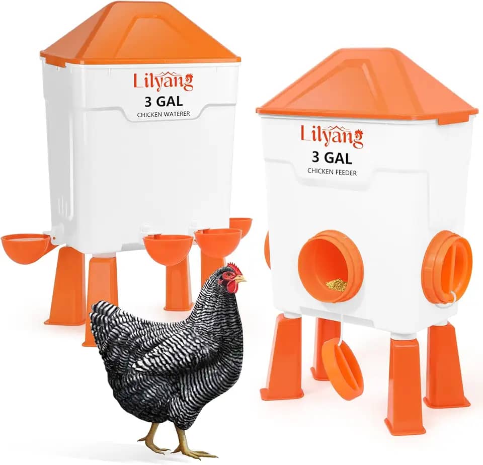 Lilyang Conjunto de comedouro e bebedouro de galinha XL, alimentador automático sem desperdício, grande bebedouro para aves com copos de 6 cm, uso em pé ou suspenso, alimente galinhas e patos