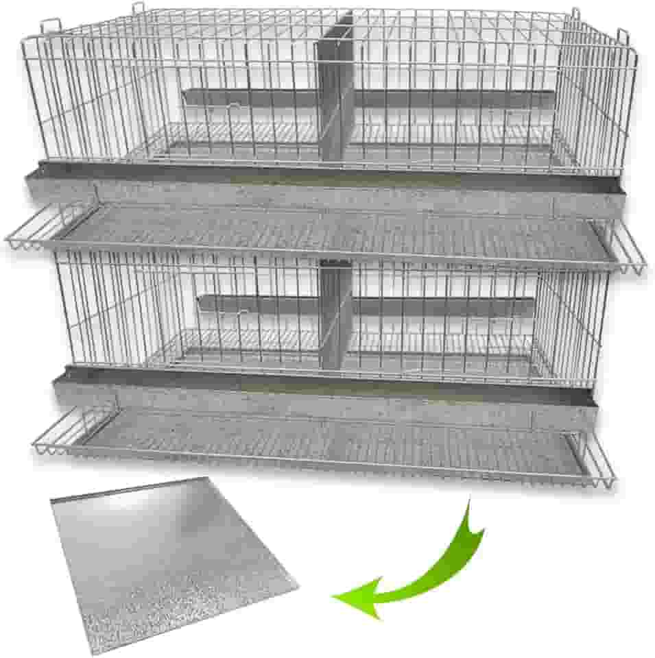 Kit 2 Gaiola Codorna Gigante Postura Viveiro Bandeja 40 Aves Poedeira Bateria (SEM BASE)