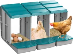JELSVOP Caixas de nidificação para galinhas, caixas de nidificação de galinhas com coleção de ovos e poleiro para facilitar a colheita dos ovos, caixas de nidificação para colocar ovos com 3