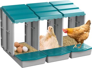 JELSVOP Caixas de nidificação para galinhas, caixas de nidificação de galinhas com coleção de ovos e poleiro para facilitar a colheita dos ovos, caixas de nidificação para colocar ovos com 3