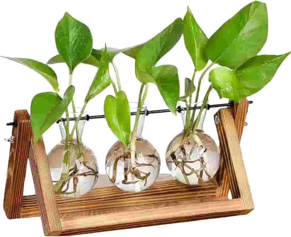 Vaso de Vidro Decorativo de mesa, Com Suporte de Madeira e Metal, c/ 3 Vasos de Vidro Redondo, Decoração para Escritório, Cozinha, Sala, Decorativo Minimalista