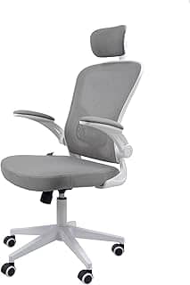 Cadeira Ergonômica Eurynom, Giratória, para Escritório e Home Office, com Encosto Reclinável, Braços Pivotantes, Apoio de Cabeça, Apoio Lombar (Cinza)