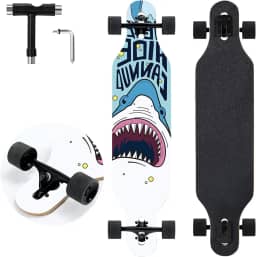 TLHB Skate Longboard, prancha longa Drop Through de 104 cm completa 9 camadas Nature Maple Premium Cruiser prancha longa para adultos, adolescentes e crianças - rolamentos de alta velocidade e