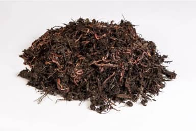 Kit Compostagem, Composteira Horta Orgânica - Minhocas Californianas, Casca de Arroz e Húmus de Minhocas