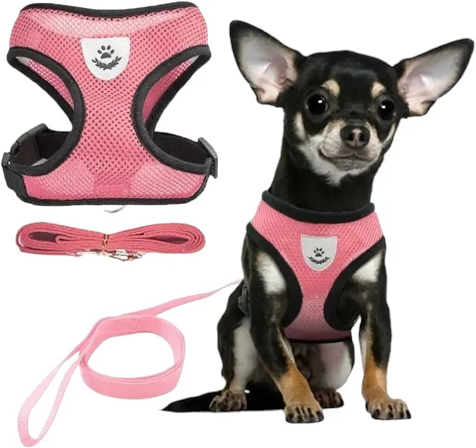 Coleira Peitoral Anti Puxão com Guia para Cães e Gatos – Ideal para Filhotes, Pinscher, Shi Tzu e Raças de Porte Pequeno a Médio – NEXUS MARKET (GG, ROSA)