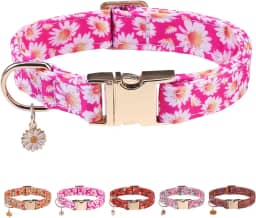 PAWCHIE Coleira para cachorro com fivela de metal, rosa M