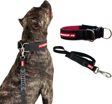 Coleira com Fecho com Guia para Cães Fortes - Canadá K9 (preto)
