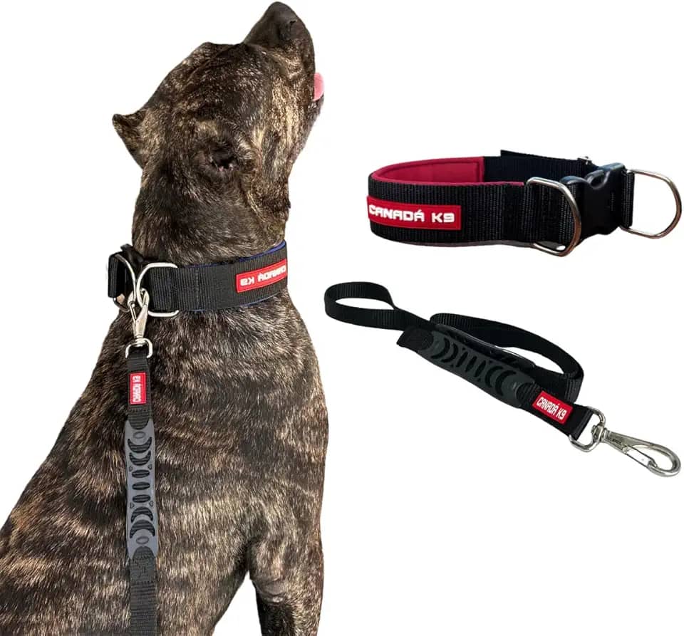 Coleira com Fecho com Guia para Cães Fortes - Canadá K9 (preto)