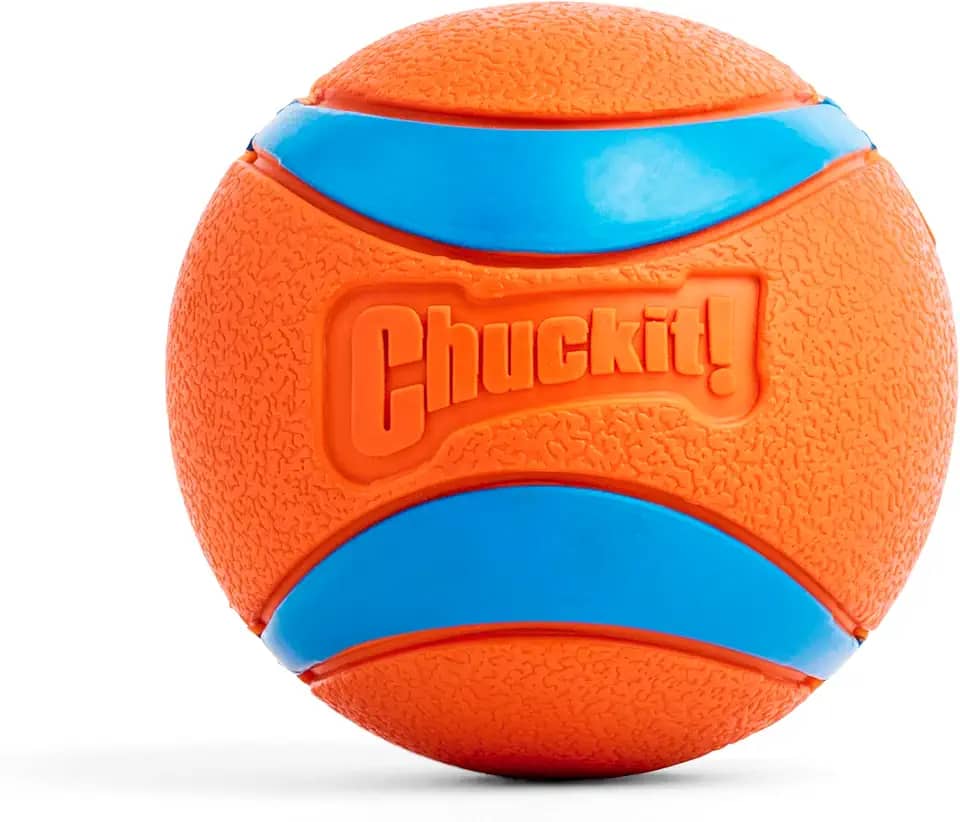 Bola Chuckit! Ultra Ball Dog, extra-grande, 10 cm, para cães a partir de 45 kg