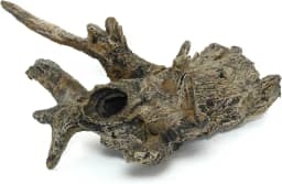 Tocas de Troncos para Peixes e Répteis de Médio Porte | Ornamento de Resina Atóxica para Aquários e Terrários | Pintura Artesanal (Enraizado)