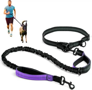 Guia Retrátil Dupla Refletiva para Cães, Guia para Cachorros, Cinto Ajustável, Adequado para Correr com Cães e Atividades ao ar Livre (Roxo)