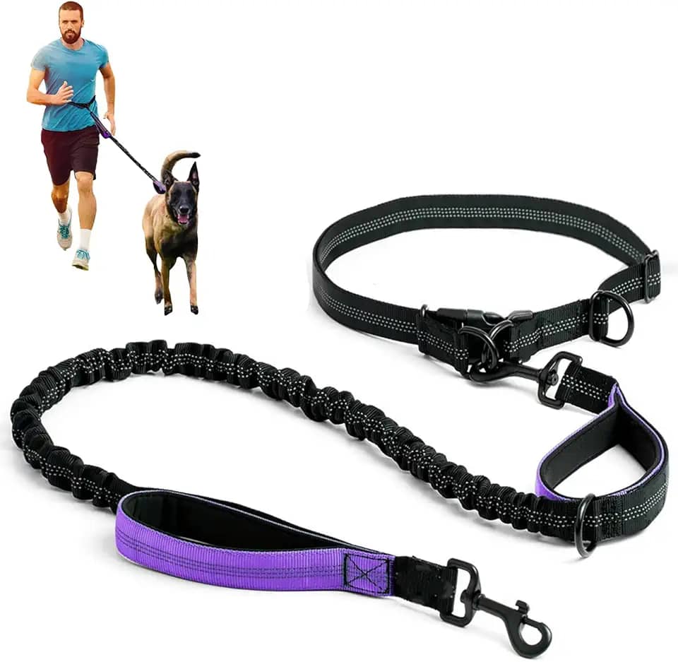 Guia Retrátil Dupla Refletiva para Cães, Guia para Cachorros, Cinto Ajustável, Adequado para Correr com Cães e Atividades ao ar Livre (Roxo)