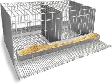 Gaiola Viveiro Codorna Gigante Poedeira Ovos Postura 16 Aves