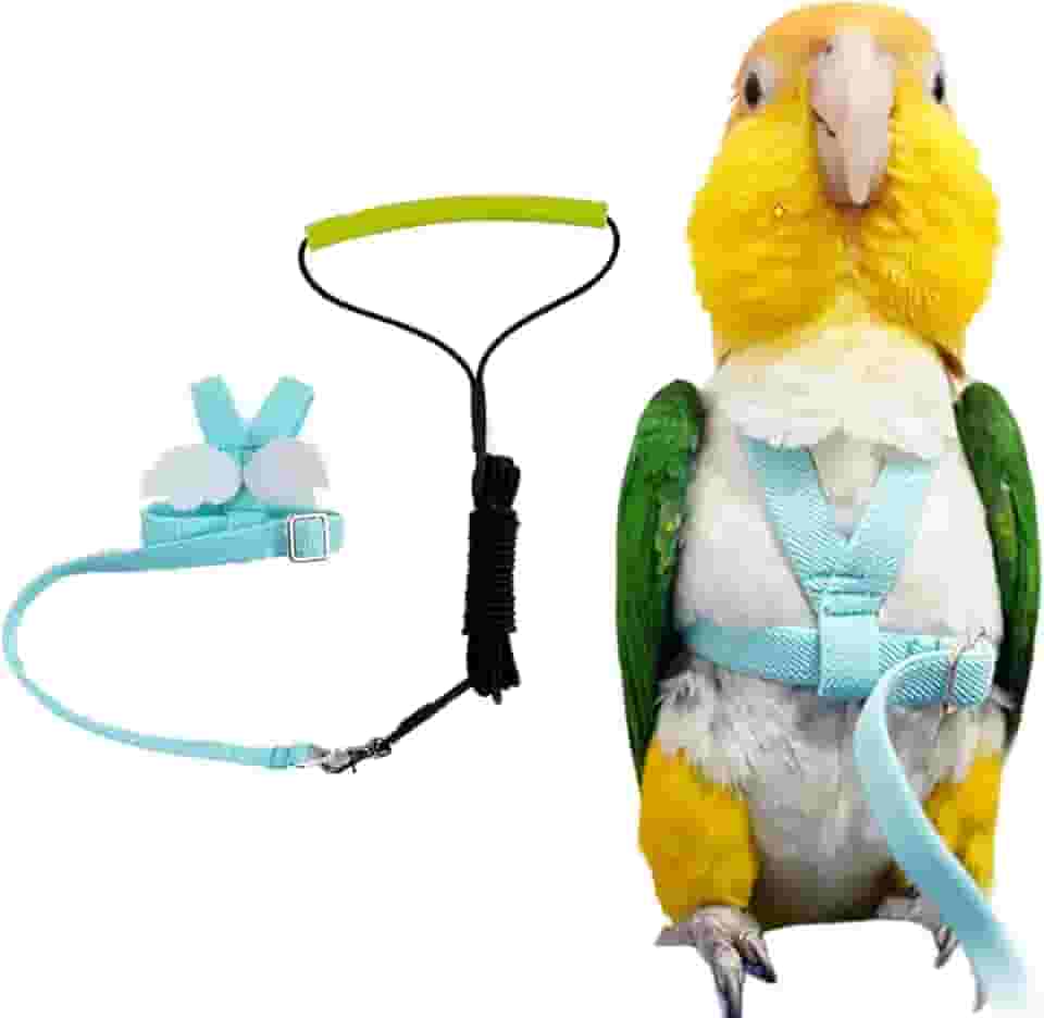Peitoral de pássaro de papagaio para animais de estimação, coleira ajustável para pássaros, corda de tração com asa fofa para papagaios, pombos, periquito, periquito, calopsita Mynah, brinquedo de treinamento ao ar livre (P, azul)