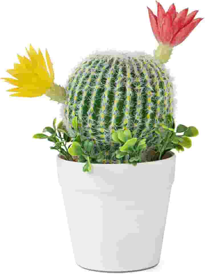 BDUSXYZ Mini cacto artificial de 19 cm – cacto com flor de cacto falso, decoração de planta suculenta falsa para escritório em casa