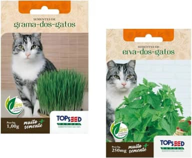 Kit 2 SACHÊS De Sementes De Grama E Erva Dos Gatos Catnip 1000 sementes de cada