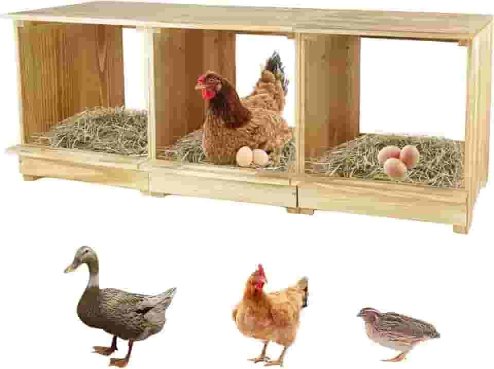 Caixas de nidificação para galinhas, 3 compartimentos, caixas de nidificação de galinhas, caixa de ninho para galinheiro, uso versátil, caixas de nidificação de madeira para galinhas, fáceis de montar