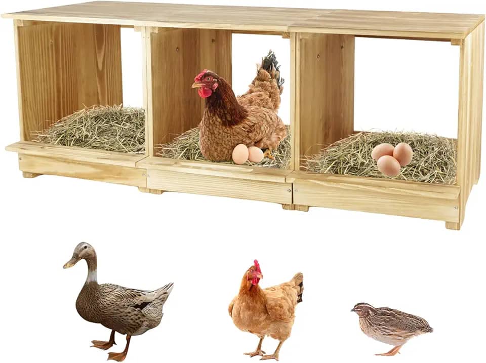 Caixas de nidificação para galinhas, 3 compartimentos, caixas de nidificação de galinhas, caixa de ninho para galinheiro, uso versátil, caixas de nidificação de madeira para galinhas, fáceis de montar
