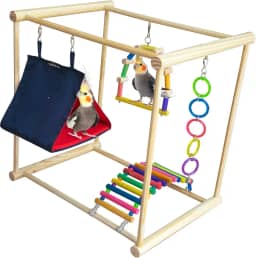 Playground com Casinha E Brinquedos Para Calopsita