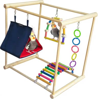 Playground com Casinha E Brinquedos Para Calopsita