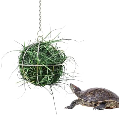 Brinquedo de bola de petisco de tartaruga de 7,5 cm, bola alimentadora de feno de aço inoxidável para tartaruga pendurada, suporte para alimentador de frutas e vegetais, adequado para tartaruga,