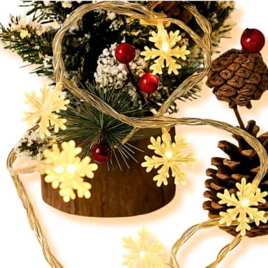 Pisca Pisca Cordão de Luzes LED Floco de Neve 10 Metros USB Controle Remoto À Prova D'água Multicores Impermeavel Natal Colorido Amarelo Branco