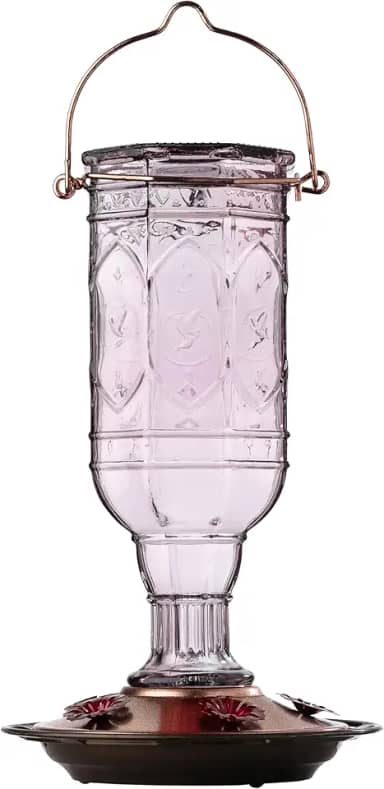 More Birds Alimentador de beija-flor ametista Jewel, alimentador de beija-flor de vidro para ambientes externos, 5 estações de alimentação, 590 ml