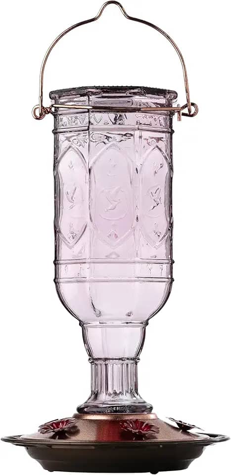 More Birds Alimentador de beija-flor ametista Jewel, alimentador de beija-flor de vidro para ambientes externos, 5 estações de alimentação, 590 ml