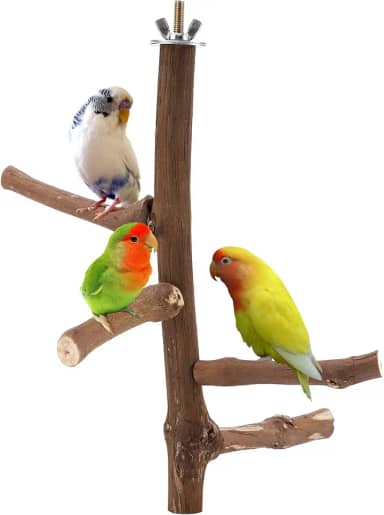 Filhome Brinquedo de suporte de poleiro de pássaro, madeira natural de videira, poleiro de papagaio, gaiola de pássaros, acessórios de galhos para periquitos, calopsitas, conures, araras, te