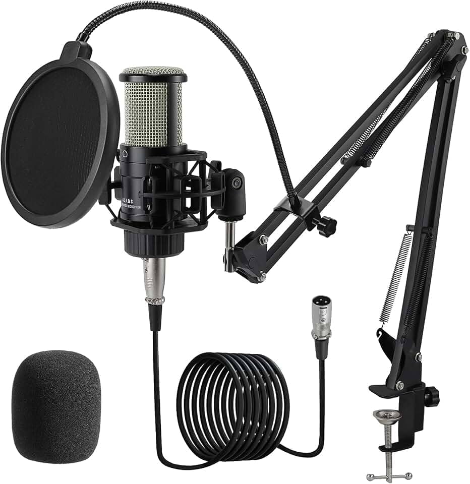 ALABS Microfone condensador XLR, kit de microfone de gravação cardioide profissional com diafragma de 25 mm para transmissão, podcast, canto, vocal, microfone de estúdio com braço boom, filtro pop